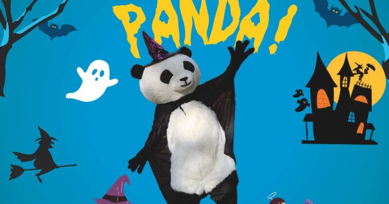 Meet Halloween Panda!