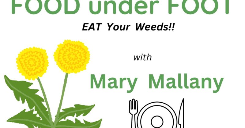 FOOD under FOOT-EAT Your Weeds!