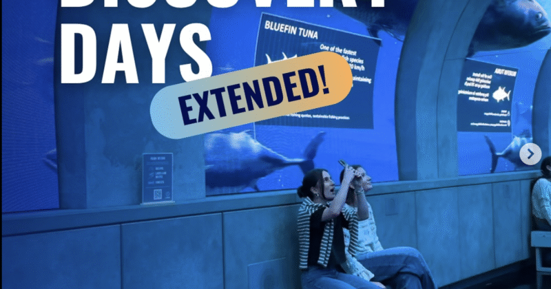 EXTENDED: STUDENT DISCOVERY DAYS AT ARCADIA EARTH